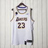 Camiseta NBA Lebron James 23 Los Angeles Lakers Edición Especial Finales 2020-2021