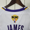 Camiseta NBA Lebron James 23 Los Angeles Lakers Edición Especial Finales 2020-2021