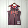 Camiseta NBA Toni Kukoc 7 Chicago Bulls Retro Clásica 1995-1996