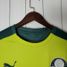 Camiseta Palmeiras Entrenamiento Verde 2021-2022