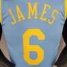 Camiseta NBA Lebron James 6 Los Angeles Lakers MPLS Silk Version 2021