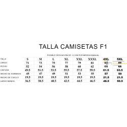 Polo Alpha Tauri Scuderia 2021-2022