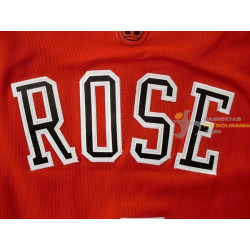 Camiseta NBA Derrick Rose de los Chicago Bulls 2019-2020
