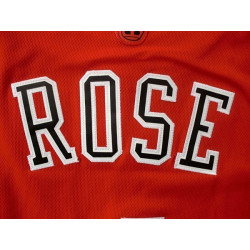 Camiseta NBA Derrick Rose de los Chicago Bulls Retro Clásica