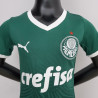 Camiseta y Pantalón Futbol Niños Palmeiras Primera Equipación 2022-2023