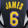 Camiseta NBA Lebron James 6 Los Angeles Lakers 75 Anniversary 2022