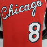 Camiseta NBA Lavine 8 Chicago Bulls 75 Anniversary Roja 2022