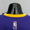 Camiseta NBA Lebron James 23 Los Angeles Lakers 75 Anniversary Versión Air Jordan 2022