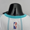 Camiseta NBA Gordon Hayward 20 Charlotte Hornets 75th Anniversary Versión Air Jordan 2022