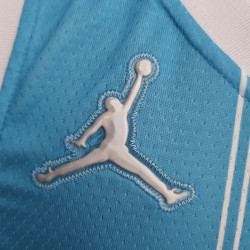 Camiseta NBA LaMelo Ball 2 Charlotte Hornets 75th Anniversary Versión Air Jordan Azul 2022