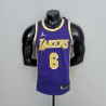 Camiseta NBA Lebron James 6 Los Angeles Lakers 75th Anniversary Versión Air Jordan 2022