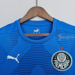 Camiseta Futbol Palmeiras Portero Azul 2022-2023