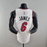 Camiseta NBA Lebron James 6 Miami Heat 75th Anniversary Blanca 2022