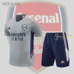 Camiseta y Pantalón Arsenal Entrenamiento Gris 2022-2023