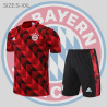 Camiseta y Pantalón Bayern Munich Entrenamiento 2022-2023