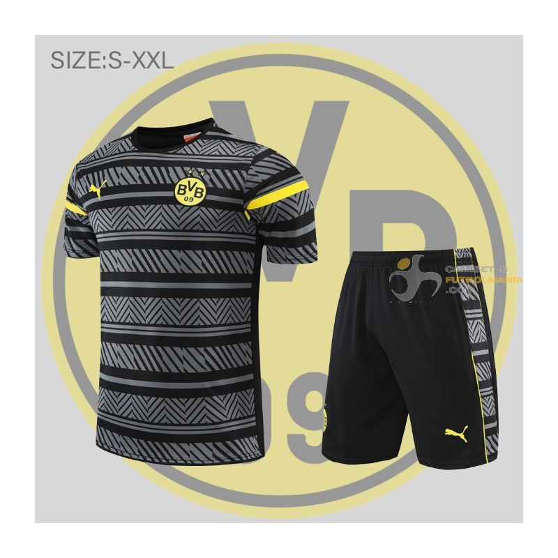Camiseta y Pantalón Borussia Dortmund Entrenamiento Gris 2022-2023
