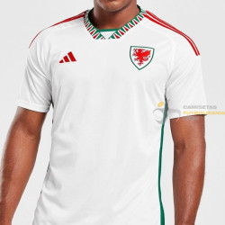 Camiseta Fútbol Gales Segunda Equipación 2022-2023