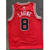 Camiseta NBA Niños Lavine 8 Chicago Bulls Retro Clásica