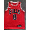 Camiseta NBA Niños Lavine 8 Chicago Bulls Retro Clásica