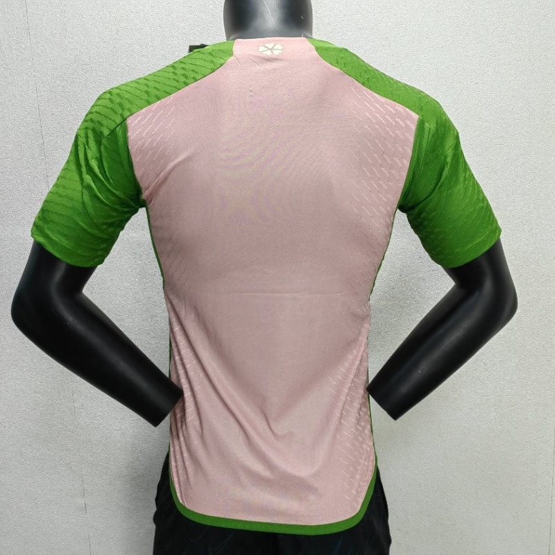 Camiseta Japón Especial Edición Verde Rosa 2023-2024