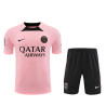Camiseta y Pantalón Paris Saint-Germain Entrenamiento Rosa 2023-2024