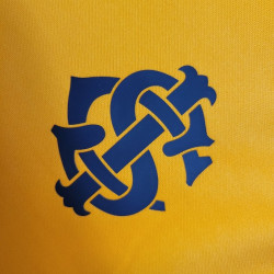 Camiseta Fútbol Internacional de Porto Alegre Entrenamiento Naranja 2023-2024