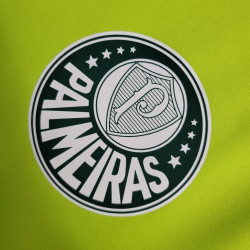 Camiseta Futbol Palmeiras Entrenamiento Verde 2023-2024