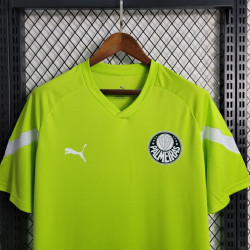 Camiseta Futbol Palmeiras Entrenamiento Verde 2023-2024