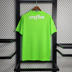 Camiseta Futbol Palmeiras Portero Verde 2023-2024