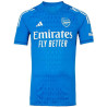 Camiseta Futbol Arsenal Portero 2023-2024