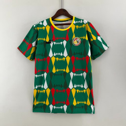 Camiseta Senegal Verde...