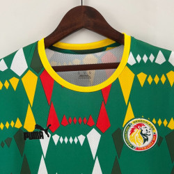 Camiseta Senegal Verde 2023-2024