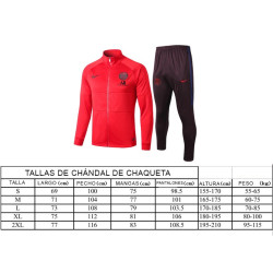 Chándal Capucha Ajax Special Edition 2023-2024