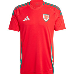 Camiseta Gales Primera Equipación Eurocopa 2024