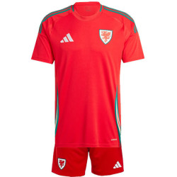 Camiseta y Pantalón Niños Gales Primera Equipación Eurocopa 2024