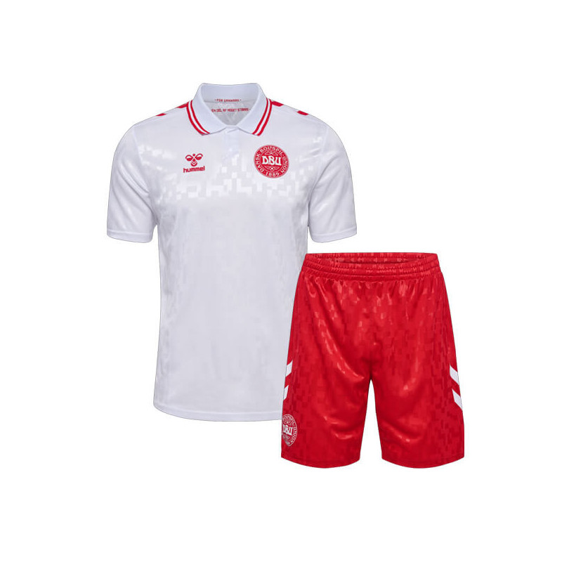 Camiseta y Pantalón Niños Dinamarca Segunda Equipación Eurocopa 2024