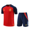 Camiseta y Pantalón España Entrenamiento Roja 2024