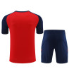 Camiseta y Pantalón Niños España Entrenamiento Rojo 2024