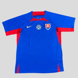 Camiseta Fútbol Eslovaquia Primera Equipación Eurocopa 2024