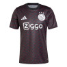 Camiseta Fútbol Ajax Entrenamiento Pre-Match 2024-2025