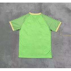 Camiseta Japón Especial Edición Dragon Ball Super Sayan Green