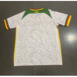 Camiseta Fútbol Camerún Primera Equipación 2024