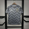 Camiseta Fútbol Santos Entrenamiento Pre-Match Gris 2024-2025