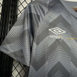 Camiseta Fútbol Santos Entrenamiento Pre-Match Gris 2024-2025