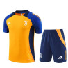 Camiseta y Pantalón Juventus Naranja 2024-2025