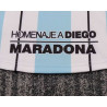 Camiseta y Pantalón Niños Argentina Homenaje Maradona 10 Retro Clásica 2001