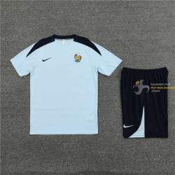 Camiseta y Pantalón Francia Entrenamiento 2024-2025