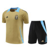 Camiseta y Pantalón Entrenamiento Argentina 2024-2025