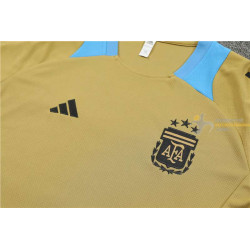 Camiseta y Pantalón Entrenamiento Argentina 2024-2025