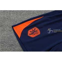 Camiseta y Pantalón Niños Holanda Entrenamiento Naranja 2024-2025